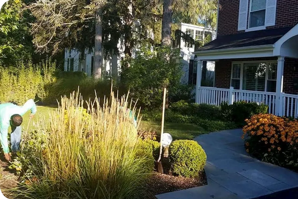 Landscaping in Highland Park, Designed and built by one team
